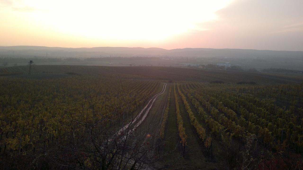 Sommelierka Valtice